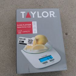 Small Digital Fruit Scale