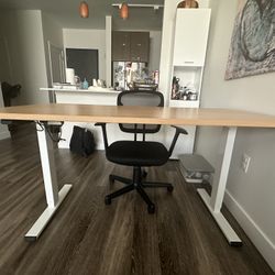 Adjustable Height Desk - Large 60”x30”