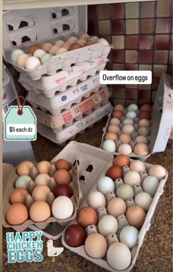 Eggs- organic eggs