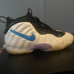 Nike Air Foamposites/6.5