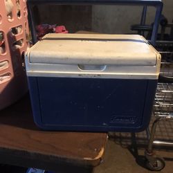 Coleman Handheld Mini Cooler