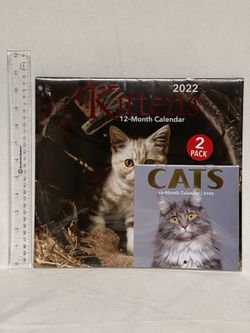 2 Pack 12-Month Calendar Kittens & Cats