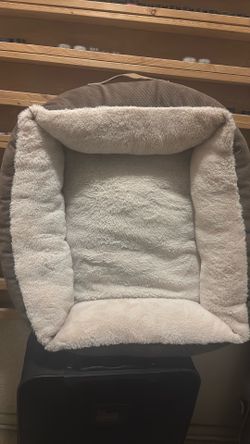 Little dog bed