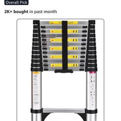 Telescoping Ladder 12.5 Ft