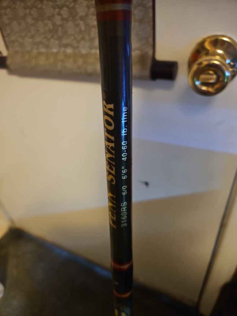 Fishing Rod