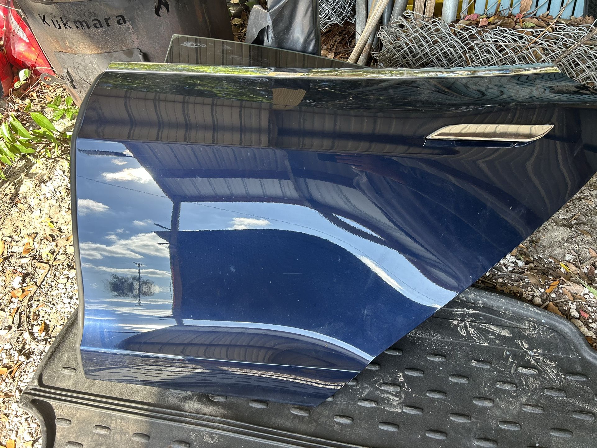 Tesla Model S Door
