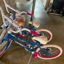 2 bikes for $80