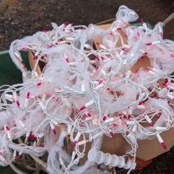 Pink And White Lights