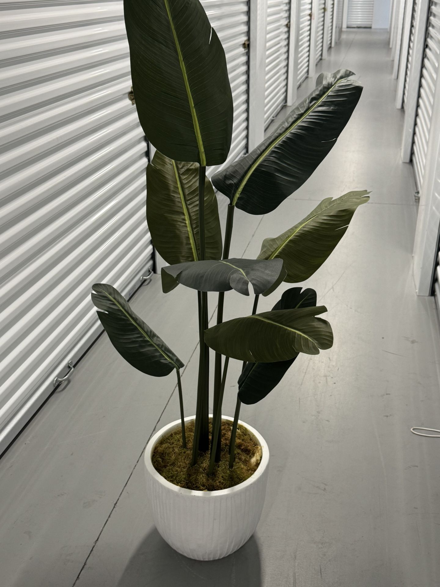 Fake Standing Plant