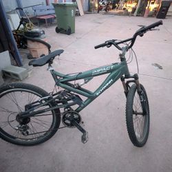 Schwinn Impact Bike