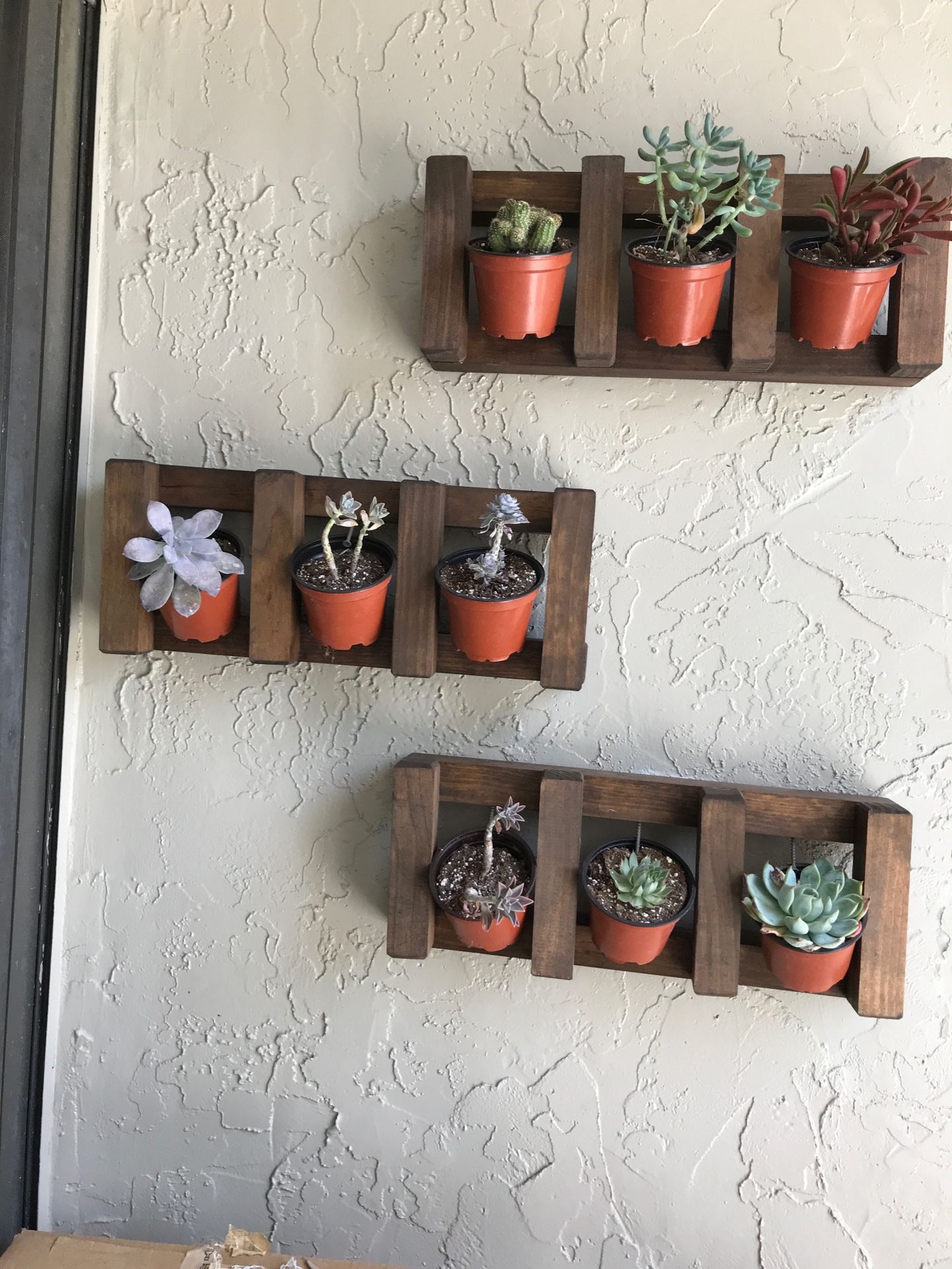 Succulent rack / holder