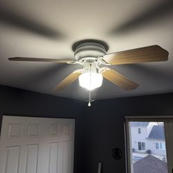 Ceiling Fan 3 For $100