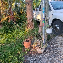 2 Clay Pots With Plants Double Heavy Duty Shepards Hook Plus Air Plant And Hanging Plant 