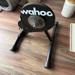 Wahoo Kicrk Core - used only once