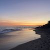 Cyrus