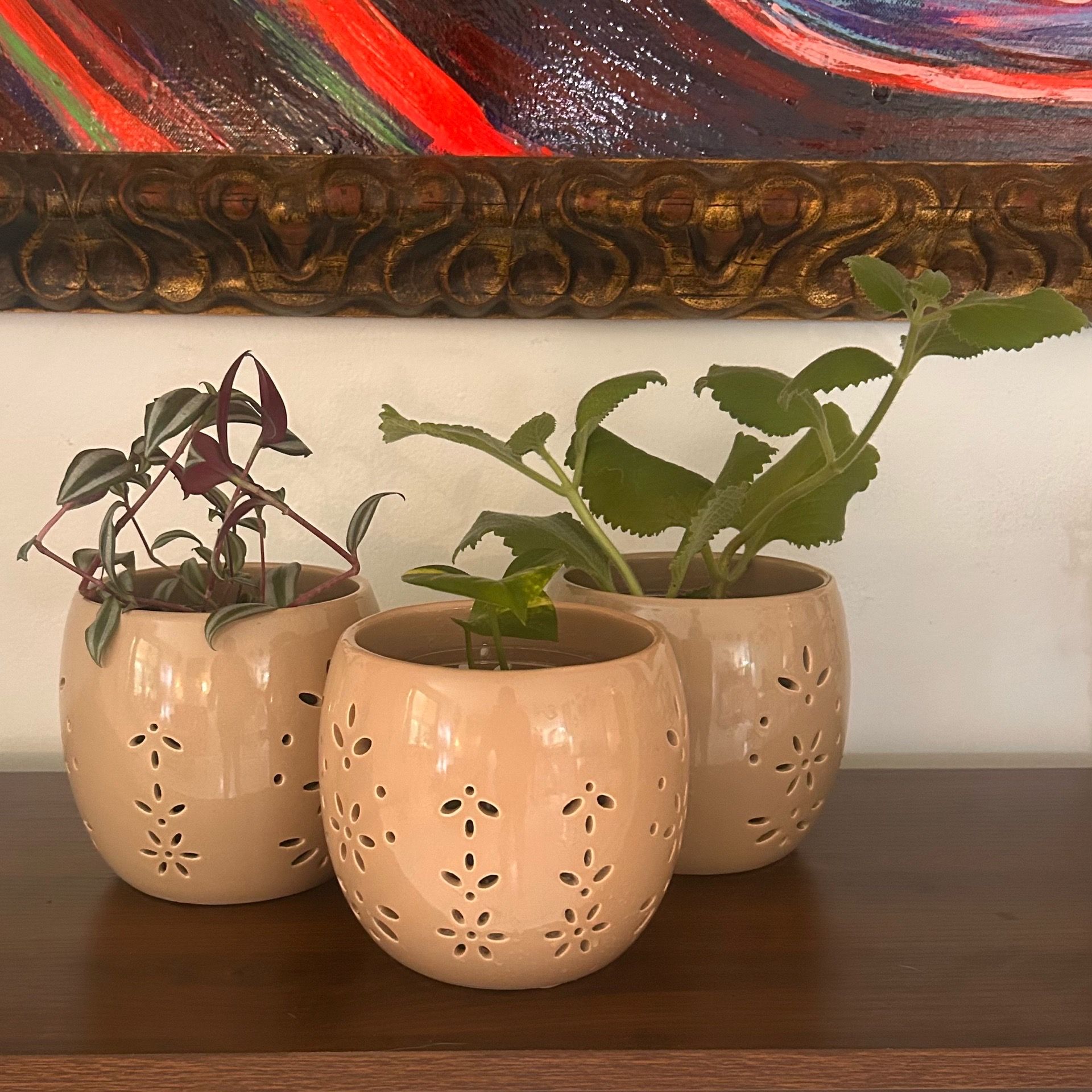 FREE TODAY! 3 Small Indoor Plants
