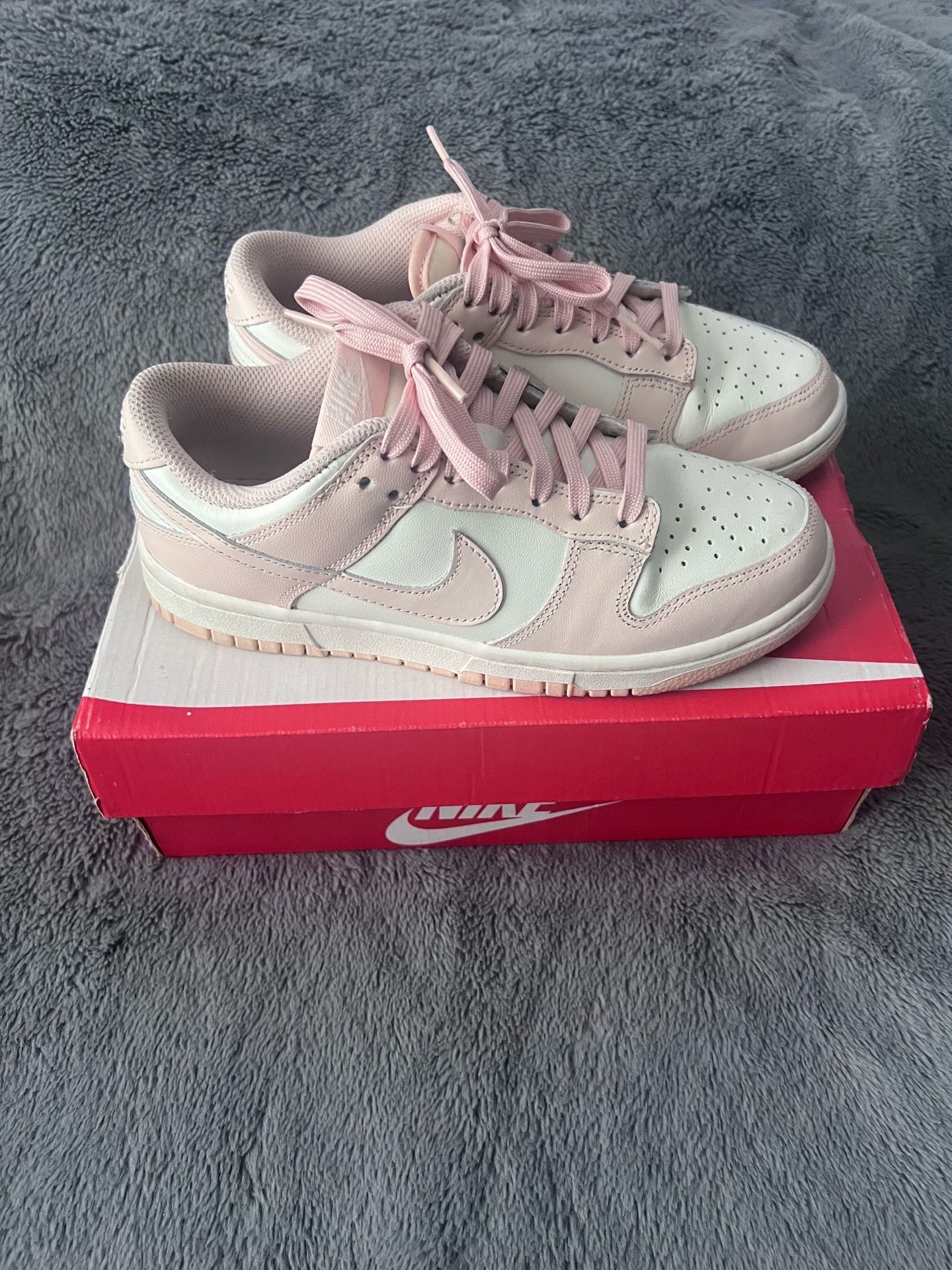 Nike Dunk Low Shoes