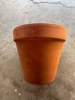 Terracotta pot