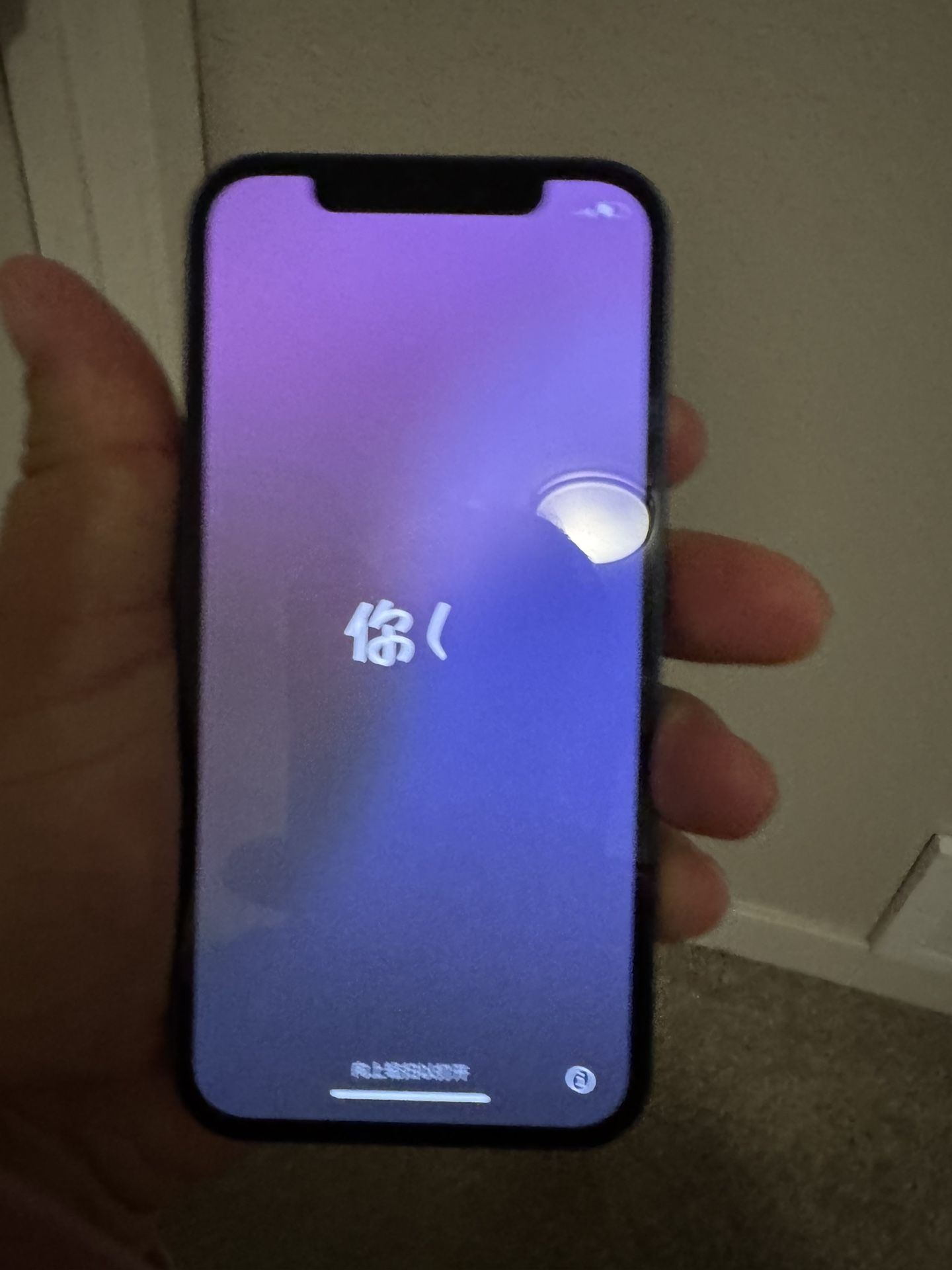 iPhone 12