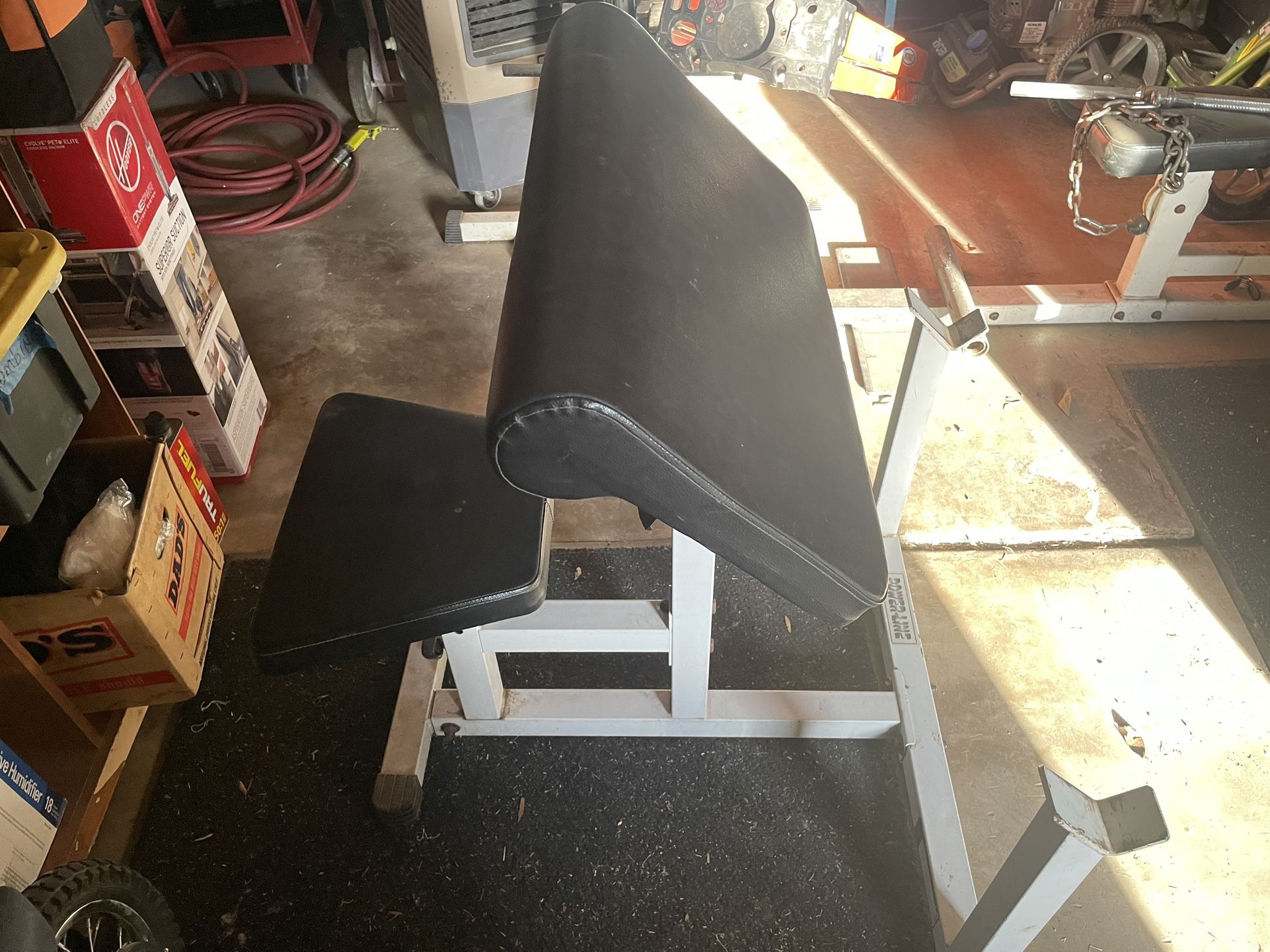 Preacher Curl Bench By: PowerLine Brand
