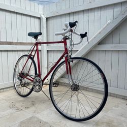 Schwinn Traveler Restored And Ready To Ride 