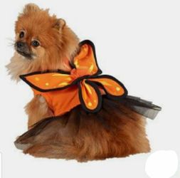 Dog Halloween costume size L