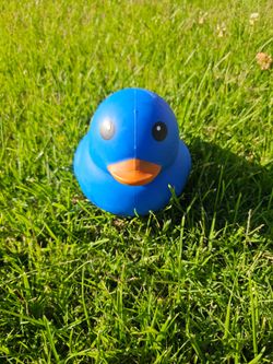 Sunny Days Blue Squishy Duck 🐥