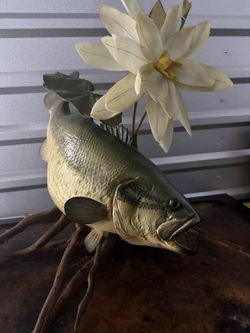 Largemouth Bass Taxidermy