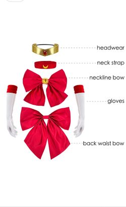 Saylor Moon Halloween Costume
