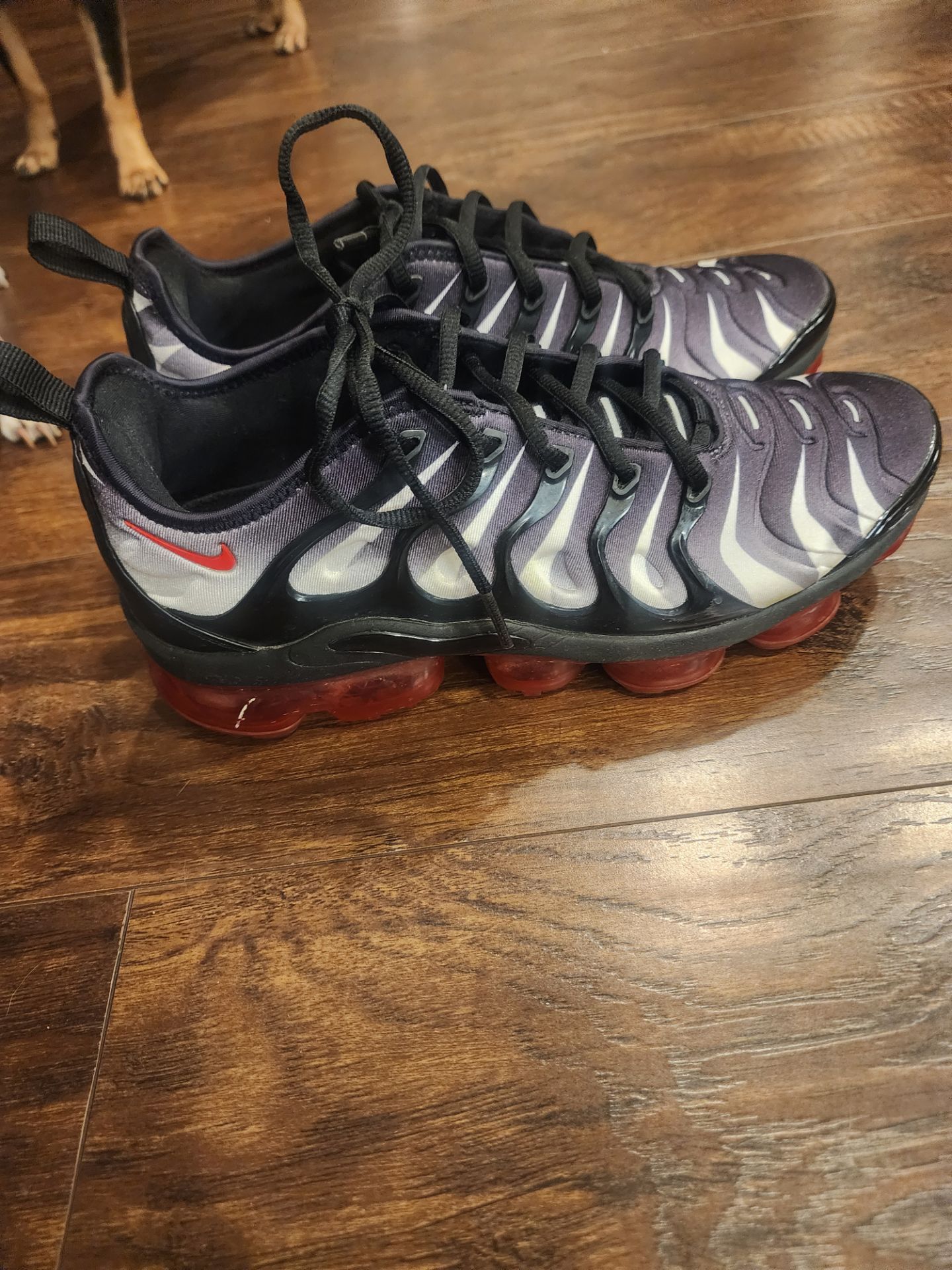 Nike Air Vapor size 8 mens $40