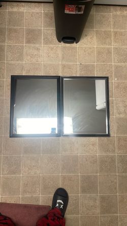 Two willow spring mirrors
