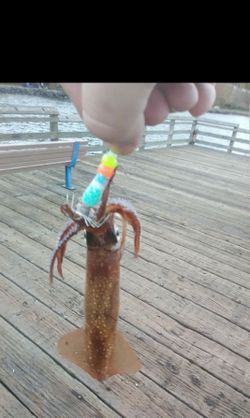 Squid lures