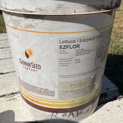 Gowan Seeds Eazyleaf Red 