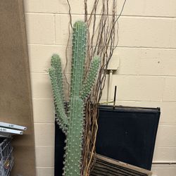 4ft Cactus Fake Prop With Sticks