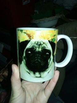 PUG mug euc $2