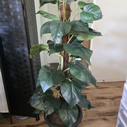 Artificial Plant (Read Description)