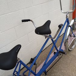 Schwinn 2- Seat Bike