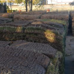 Grass Sod For Sale 