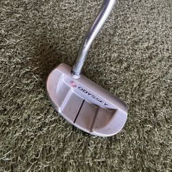 Odyssey Putter White Hot #5 about 30.5 inches (which is very short).