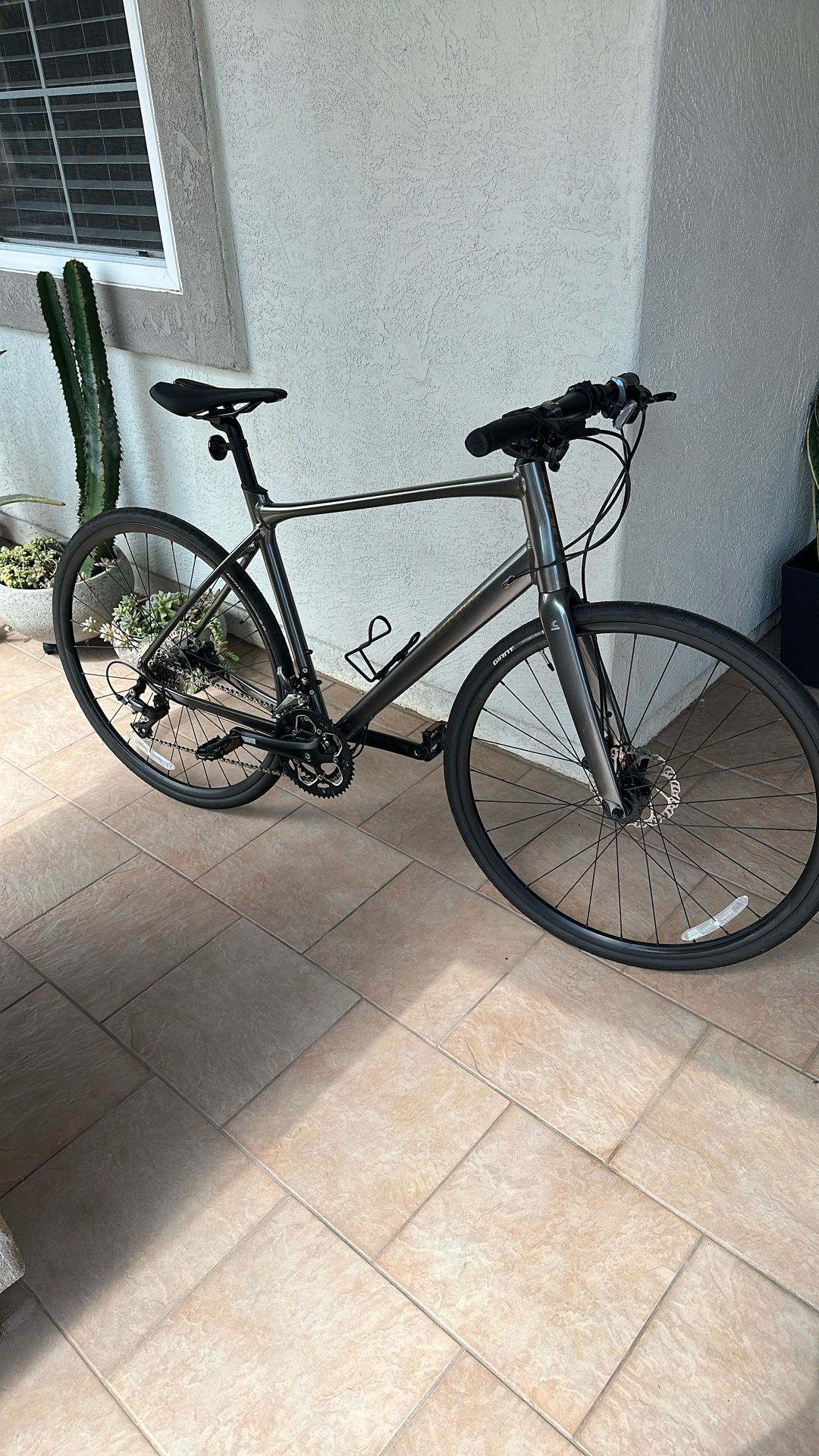 Giant Fastroad Performance Bike - L