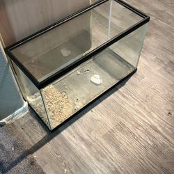 Glass Fish Tank/terrarium  
