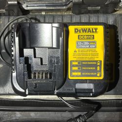 DeWalt 12 V 20 V max charger