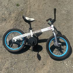 Royal Rider Buttons Kids Bike