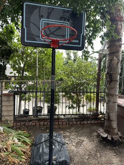 Lifetime Basketball Court