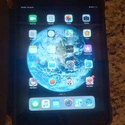 Ipad Mini 2