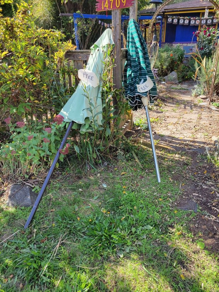 Free Outdoor Umbrellas