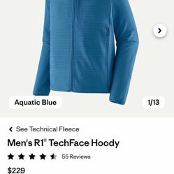 Patagonia Jacket r1 TechFace