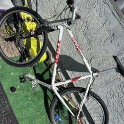 Trek Bike