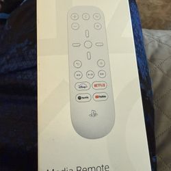 PS5 Remote
