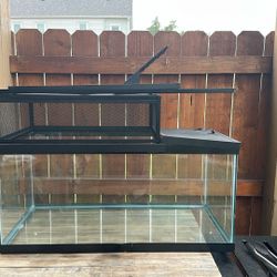 Fish Tank